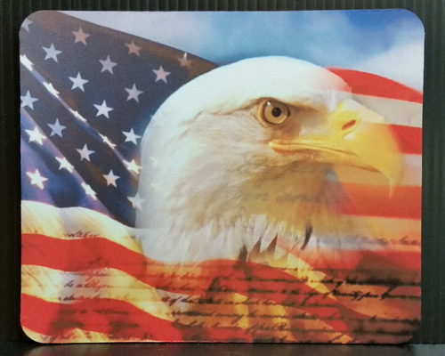 Bald Eagle mousepad